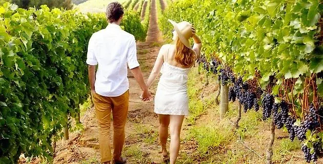 Nemea Stadium Bordeaux Aeroport 3* Мериньяк